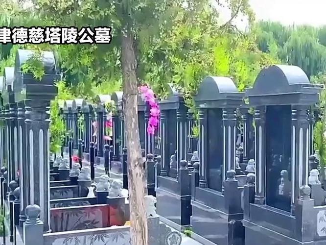 德慈塔陵现在能扫墓去吗